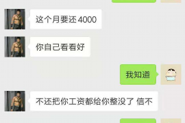 长垣为什么选择专业追讨公司来处理您的债务纠纷？